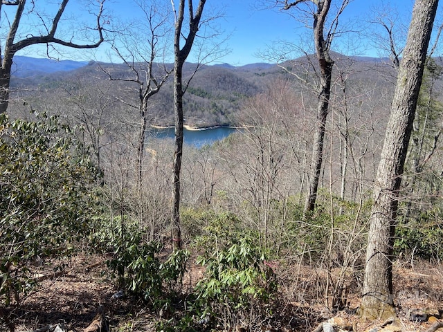 LT15A Von Trapp Ln Unit 15A, Tuckasegee, NC 28783
