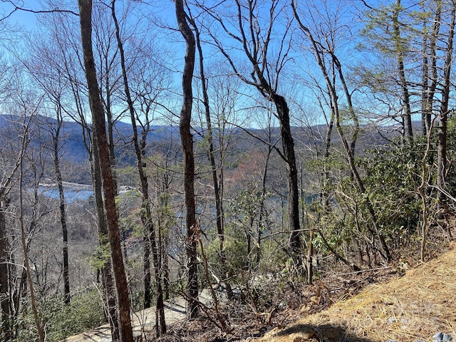 LT15A Von Trapp Ln Unit 15A, Tuckasegee, NC 28783