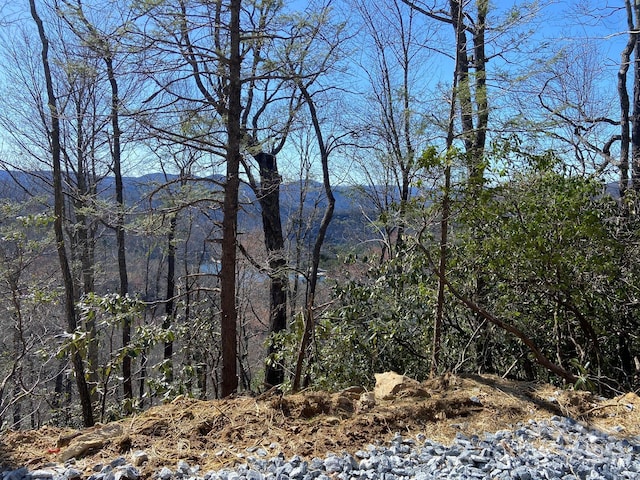 LT15A Von Trapp Ln Unit 15A, Tuckasegee, NC 28783