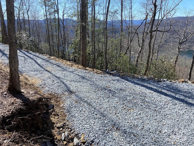 LT15A Von Trapp Ln Unit 15A, Tuckasegee, NC 28783