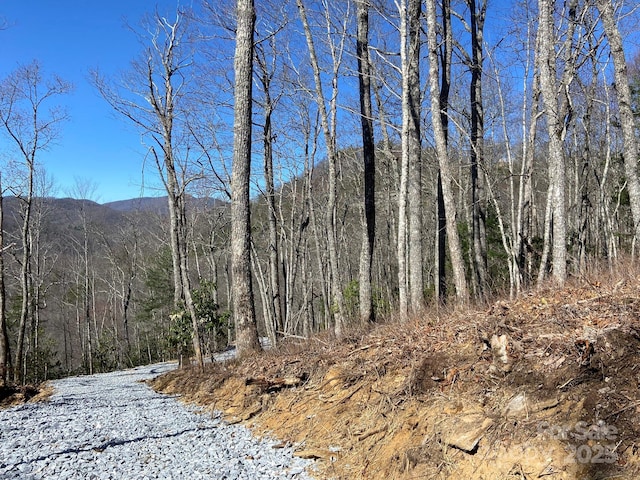 LT15A Von Trapp Ln Unit 15A, Tuckasegee, NC 28783