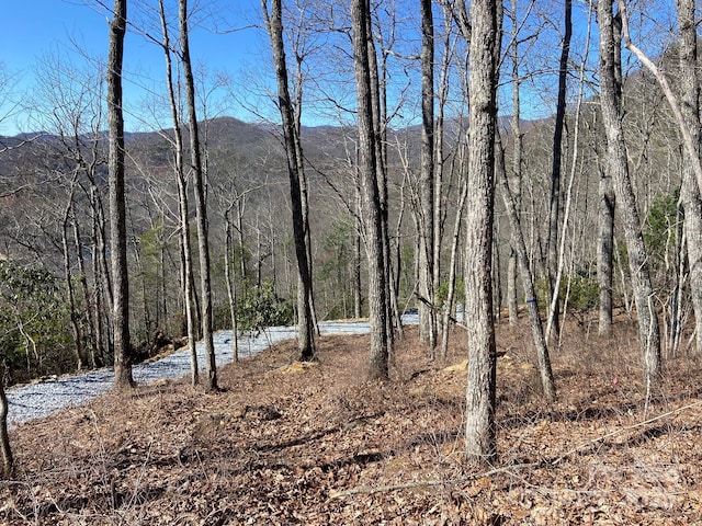 LT15A Von Trapp Ln Unit 15A, Tuckasegee, NC 28783