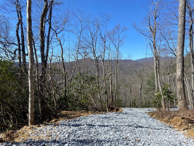LT15A Von Trapp Ln Unit 15A, Tuckasegee, NC 28783