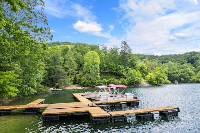 LT15A Von Trapp Ln Unit 15A, Tuckasegee, NC 28783