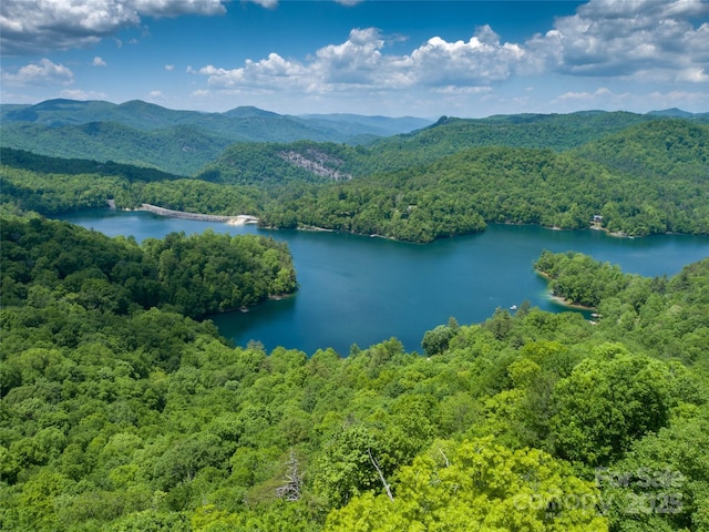 LT15A Von Trapp Ln Unit 15A, Tuckasegee, NC 28783
