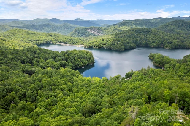 LT15A Von Trapp Ln Unit 15A, Tuckasegee, NC 28783