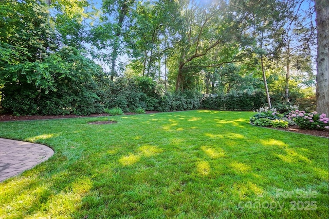 4825 Deanscroft Dr, Charlotte, NC 28226 - view of grassy yard