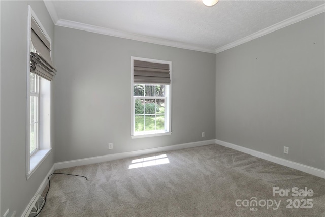 5890 Alley Rd, Catawba, NC 28609 - spare room featuring carpet flooring, ornamental molding, and a textured ceiling