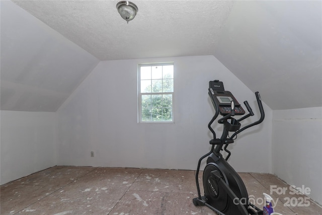 5890 Alley Rd, Catawba, NC 28609 - workout room with vaulted ceiling and a textured ceiling