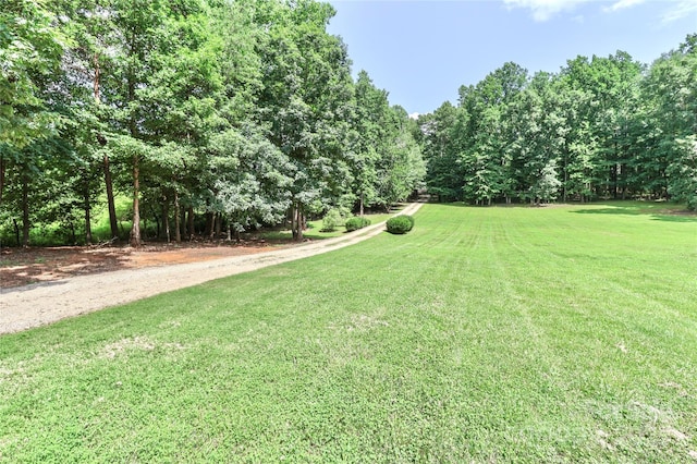5890 Alley Rd, Catawba, NC 28609 - view of green lawn