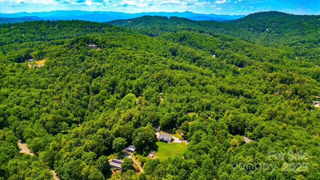 180 Ellerslie Acre, Hendersonville, NC 28739 - photo 42