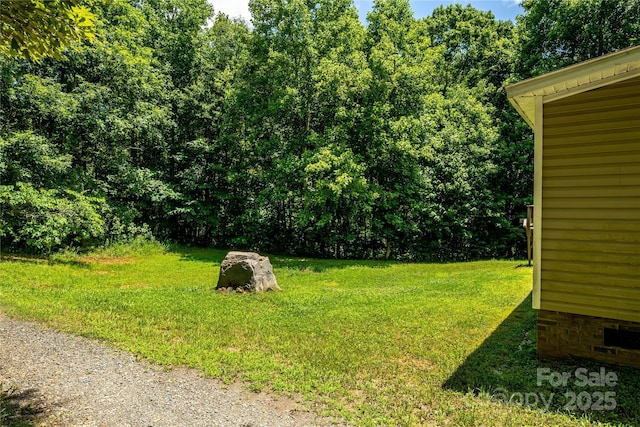 812 Acclaim Dr, York, SC 29745 - photo 28