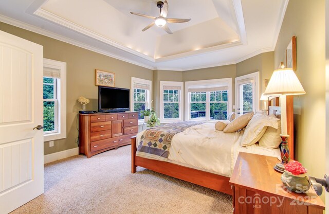 35 Village Pointe Ln, Asheville, NC 28803 - bedroom featuring a tray ceiling, light carpet, crown molding, and ceiling fan