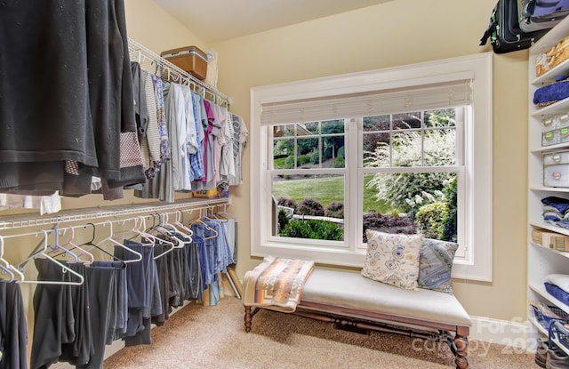 35 Village Pointe Ln, Asheville, NC 28803 - walk in closet featuring carpet floors