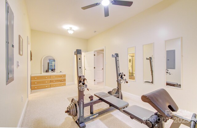 35 Village Pointe Ln, Asheville, NC 28803 - exercise room with electric panel, ceiling fan, and carpet floors