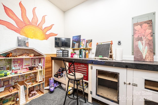 3889 Mattingly Dr, Hickory, NC 28602 - office area featuring carpet flooring