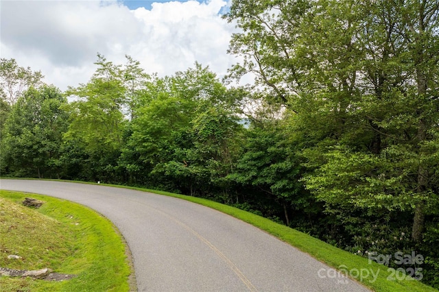 TBDLOT215 Thunderhill Trl Unit 215, Blowing Rock, NC 28605 - photo 1
