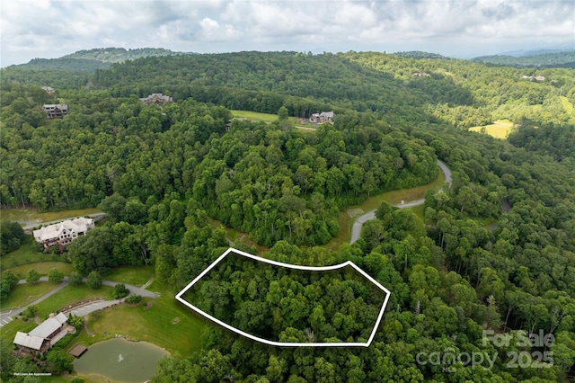 TBDLOT215 Thunderhill Trl Unit 215, Blowing Rock, NC 28605 - photo 2