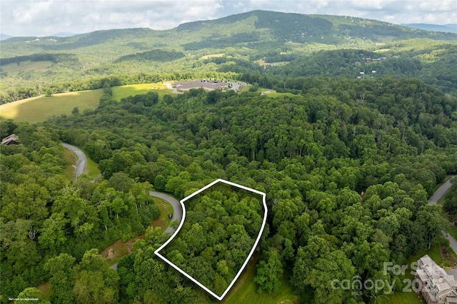 TBDLOT215 Thunderhill Trl Unit 215, Blowing Rock, NC 28605 - photo 4