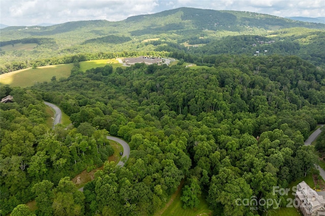 TBDLOT215 Thunderhill Trl Unit 215, Blowing Rock, NC 28605 - photo 5