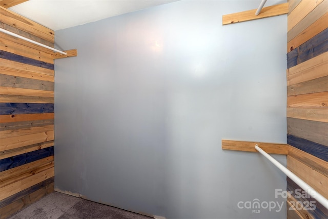 24 Arco Rd, Asheville, NC 28805 - walk in closet with carpet flooring