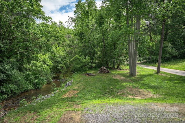 24 Arco Rd, Asheville, NC 28805 - view of green lawn featuring a view of trees