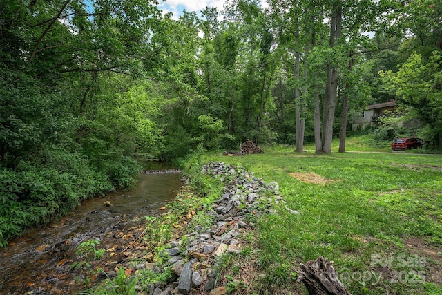 24 Arco Rd, Asheville, NC 28805 - view of green lawn