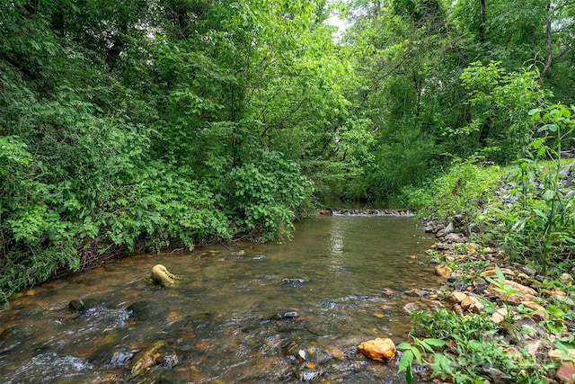 24 Arco Rd, Asheville, NC 28805 - water view with a forest