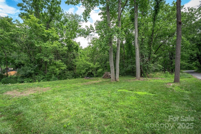 24 Arco Rd, Asheville, NC 28805 - view of green lawn