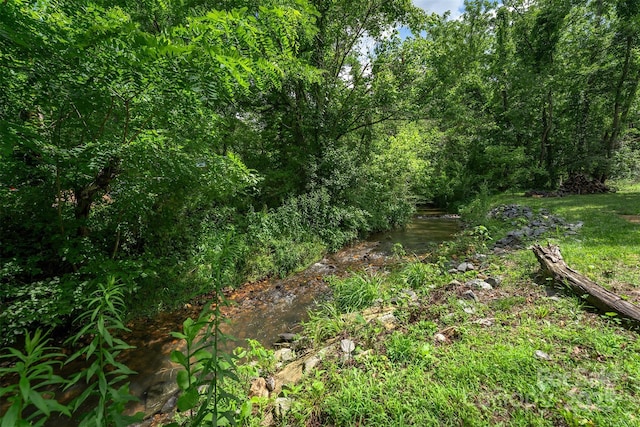24 Arco Rd, Asheville, NC 28805 - view of nature