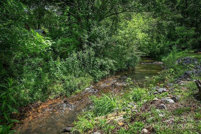 24 Arco Rd, Asheville, NC 28805 - view of wooded area