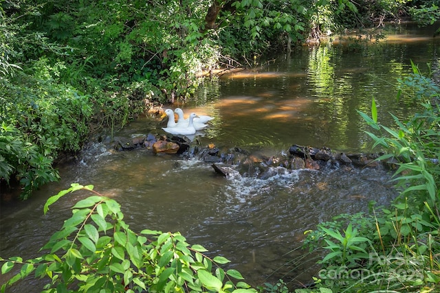 24 Arco Rd, Asheville, NC 28805 - view of yard