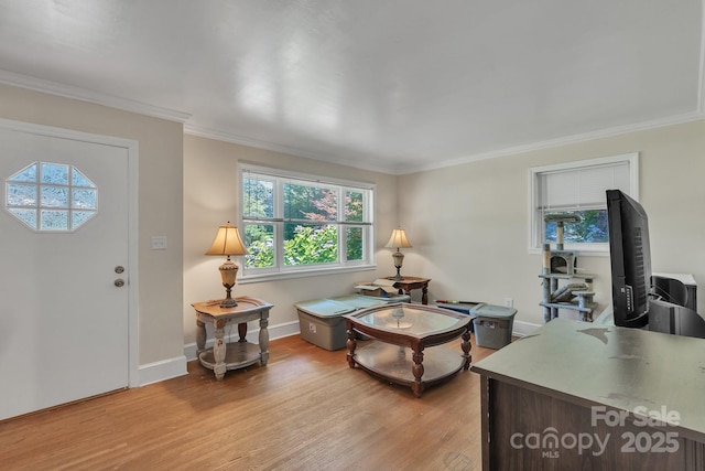 2008 Kimway Dr, Matthews, NC 28105 - living area featuring light wood finished floors and crown molding