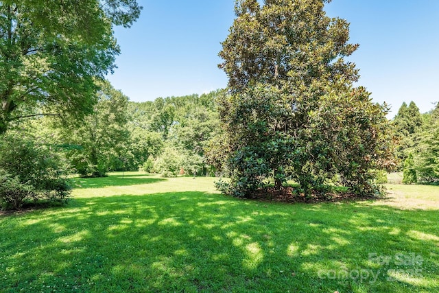 2008 Kimway Dr, Matthews, NC 28105 - view of green lawn with a forest view