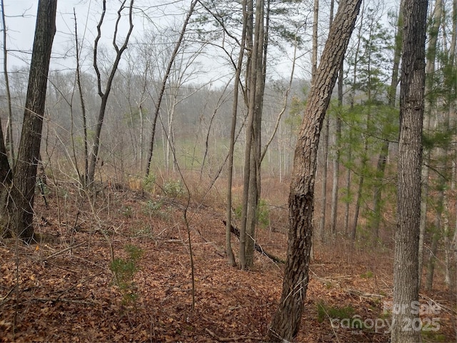 72 Pounders Dr, Asheville, NC 28804
