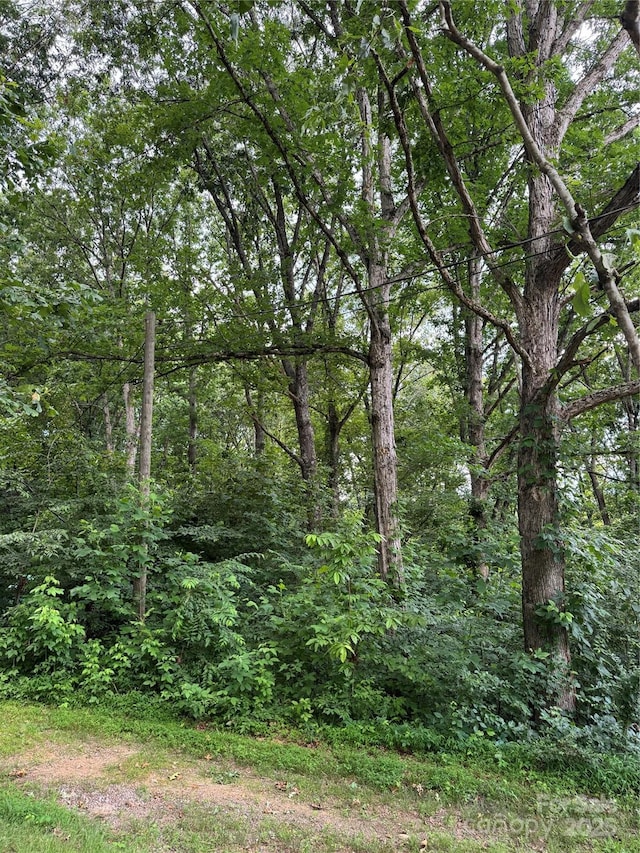 72 Pounders Dr, Asheville, NC 28804