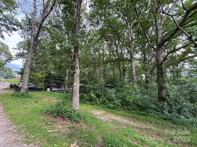72 Pounders Dr, Asheville, NC 28804