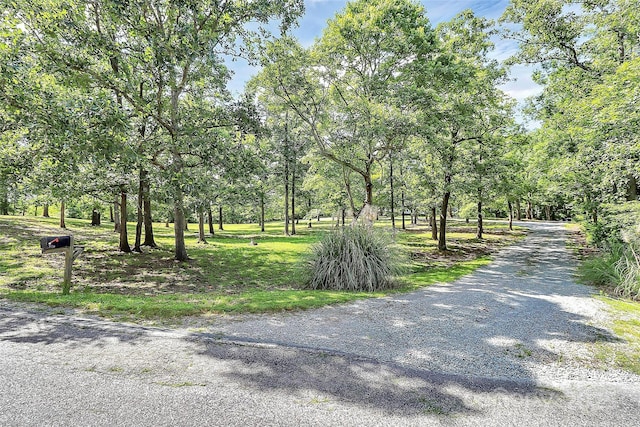 3311 Camden Rd, Marshville, NC 28103 - view of dirt / gravel road