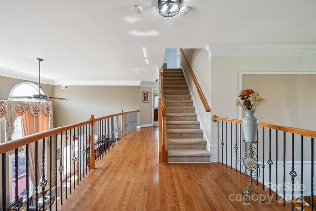 12004 New Bond Dr, Huntersville, NC 28078 - photo 34