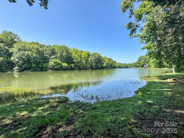 12004 New Bond Dr, Huntersville, NC 28078 - photo 43