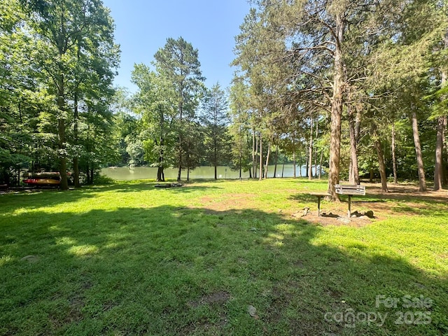 12004 New Bond Dr, Huntersville, NC 28078 - photo 47