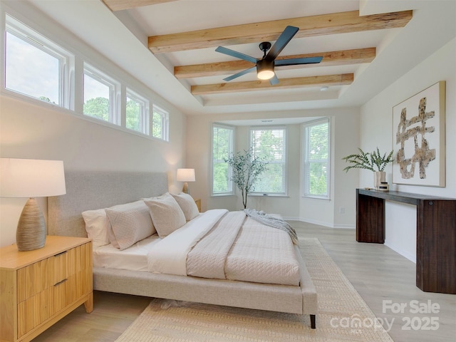16108 Langston Dr, Charlotte, NC 28278 - bedroom with multiple windows, a tray ceiling, light wood-style floors, beamed ceiling, and ceiling fan