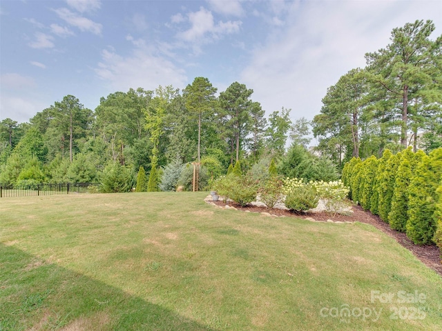 16108 Langston Dr, Charlotte, NC 28278 - view of yard