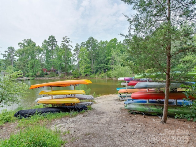16108 Langston Dr, Charlotte, NC 28278 - view of home's community featuring a water view and a dock