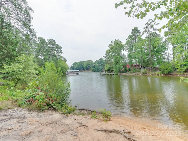 16108 Langston Dr, Charlotte, NC 28278 - water view