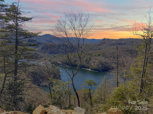 LT15B Von Trapp Ln Unit 15B, Tuckasegee, NC 28783