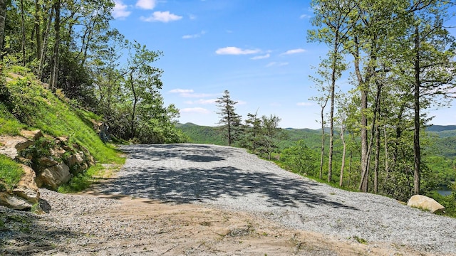 LT15B Von Trapp Ln Unit 15B, Tuckasegee, NC 28783