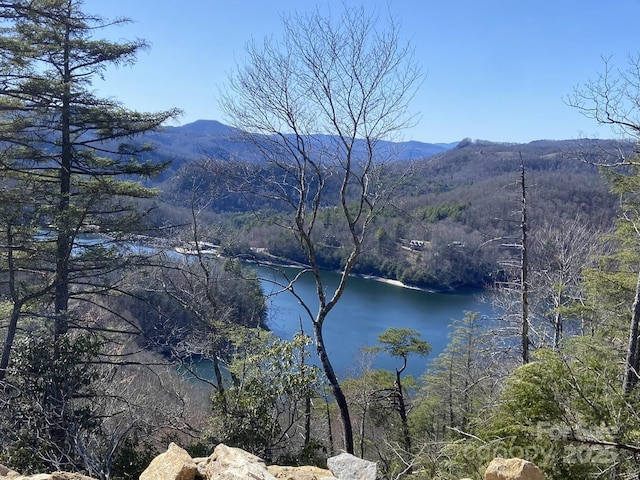 LT15B Von Trapp Ln Unit 15B, Tuckasegee, NC 28783