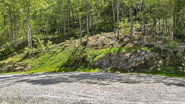LT15B Von Trapp Ln Unit 15B, Tuckasegee, NC 28783