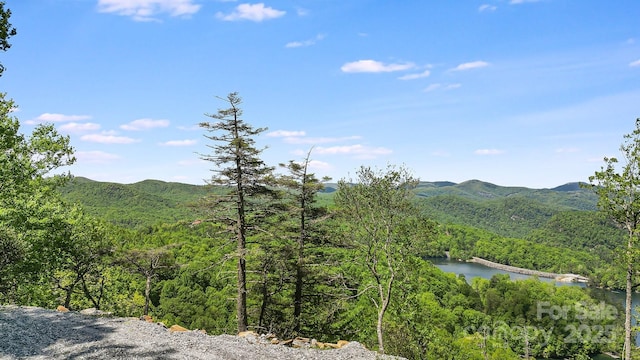 LT15B Von Trapp Ln Unit 15B, Tuckasegee, NC 28783